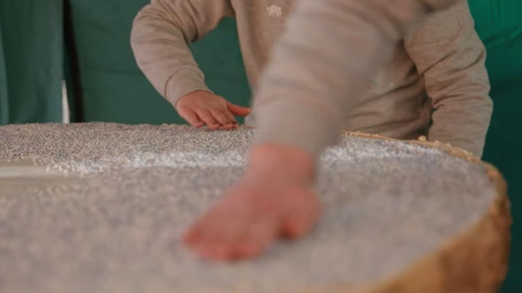 Jumbo-beschuit met muisjes van twee meter doorsnee voor Artis-baby